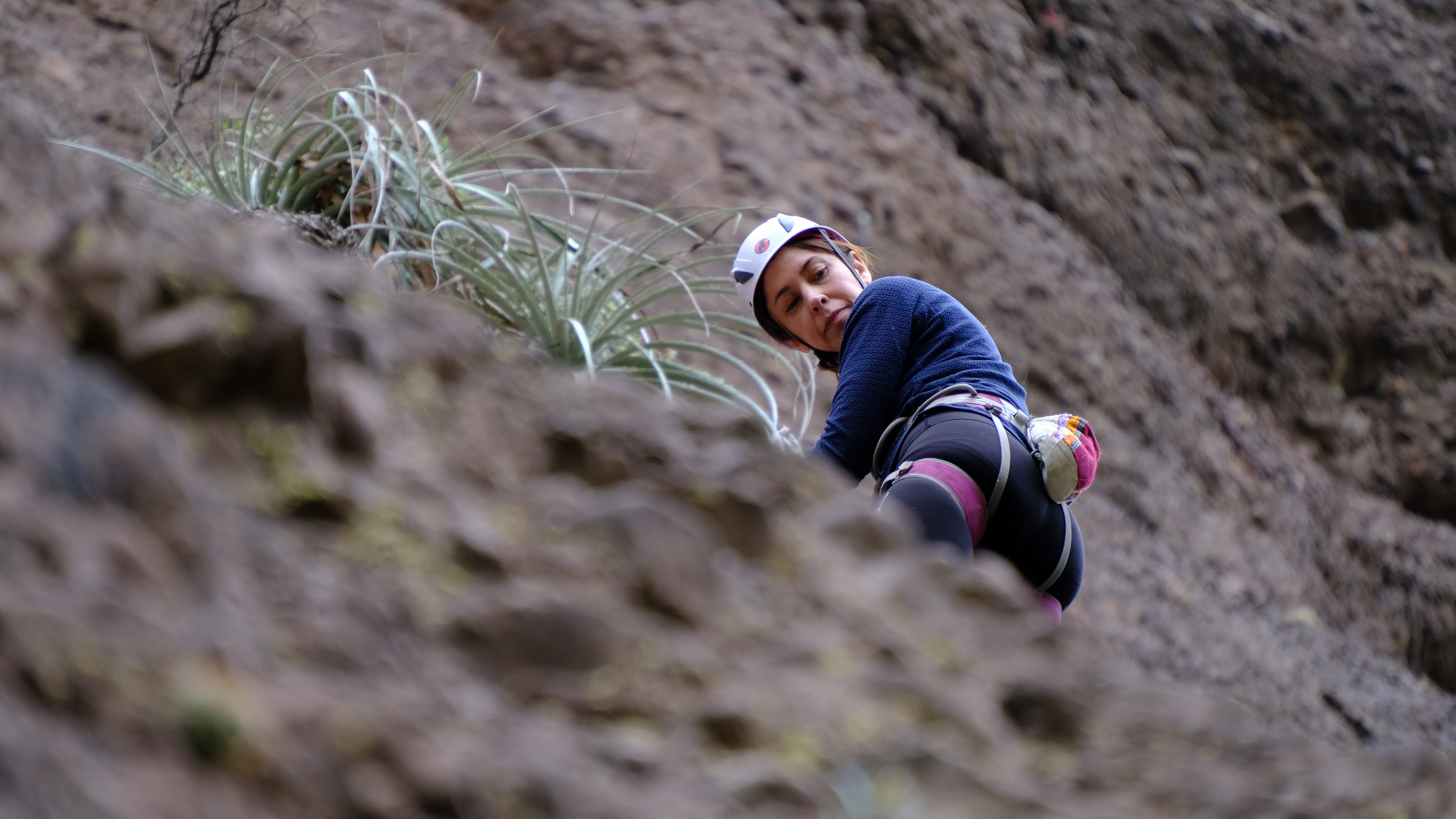 Cinthia Zelada